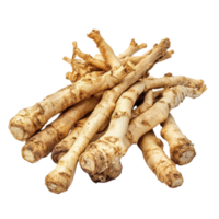 Finger root Krachai herb isolated on white background showcasing its unique shape and texture, finger root Krachai Thai herb isolated on white background png