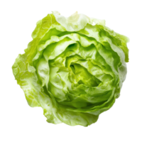 Freshly sliced green iceberg lettuce on a clean Transparent background showcasing its crisp texture, Slice Green Iceberg lettuce on background png