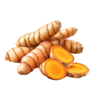 Fresh turmeric root isolated on transparent background with cut pieces revealing vibrant orange interior, Turmeric isolated on transparent png