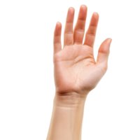 Isolated hand gesture showing open palm against a white background, Haning Hand isolated on white background png