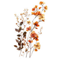 Vibrant autumn flowers and leaves arranged gracefully on a clean Transparent background for seasonal decor, of autumn flowers isolated on a background png