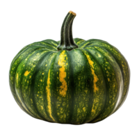 Green pumpkin with stripes isolated on a white background perfect for autumn decorations and culinary uses, Green pumpkin isolated on the white background png