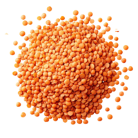 Fresh red lentils on a clean Transparent background for healthy cooking and nutritious meals, red lentils isolated on background png