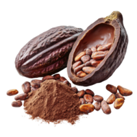 Fresh cocoa and cocoa beans displayed on a white background highlighting their natural texture and richness, Fresh cocoa isolated on white background png