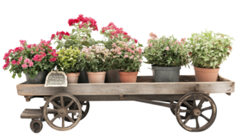 A cart with potted flowers on it png