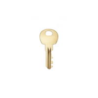 A close-up of a golden key symbolizing access and security in business. png