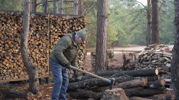 A man is chopping wood with an axe in a tranquil forest setting. Piles of neatly stacked firewood surround him, illuminated by the soft morning light. video