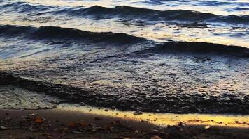 Waves of dark water washing the shore of the lake in the park. Media. Autumn background. Light and calm movements of the water surface of the lake by the sandy bay video