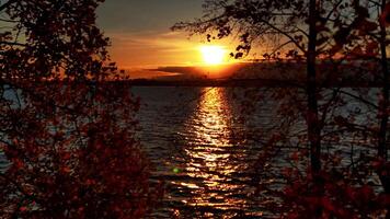 The colors of golden autumn painted the leaves of the trees in yellow and red colors with lake on background. Media. Beautiful sunset. video
