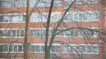 Spring in the city during the snowfall. Stock. White snowflakes falling slowly with bald trees and red brick residential house on the background. video