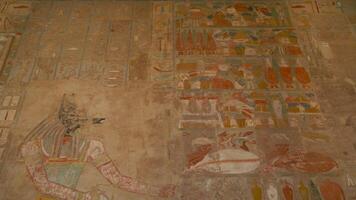 View of the wall depicting the ancient god Anubis in the Temple of Hatshepsut video