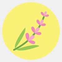 Icon lavender. Beautiful flowers elements. Icon in color mate style. vector