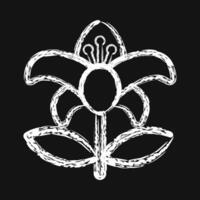 Icon lily. Beautiful flowers elements. Icon in chalk style. vector