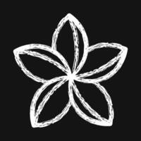 Icon plumeria. Beautiful flowers elements. Icon in chalk style. vector