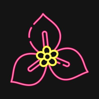 Icon bougenville. Beautiful flowers elements. Icon in neon style.