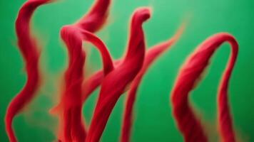 Red fluffy strings waving and dancing on green screen video