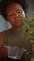 Nurturing Plants A Closeup View of the Essential Act of Watering Indoor Greenery video