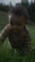 A Crawling Baby on Lush Green Grass in a Beautiful Natural Setting Filled with Sunshine video