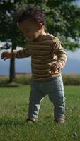 A joyful toddler is playing outside in a sunny green field filled with grass and nature video