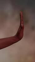A Hand Gesture That Effectively Demonstrates the Intent to Stop or Halt an Action Immediately video