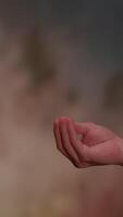An Elegant and Calm Gesture of an Open Hand Set Against a Soft Focus Background Area video