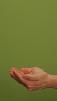 This is a Minimalist Green Background that features a Subtle Texture, creating an elegant ambiance video