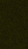 Experience a Dark Green Textured Background that is Perfect for Various Creative Projects video