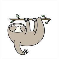 cartoon of cute sloth hanging from a branch creative drawing video