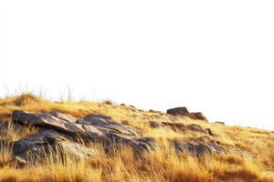 Rocky terrain and dry grass under clear sky in desert landscape photo