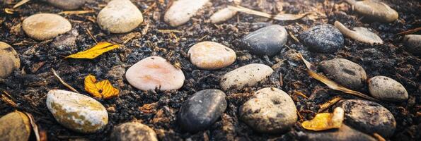 Colorful pebbles on soil with autumn leaves and natural light accents photo