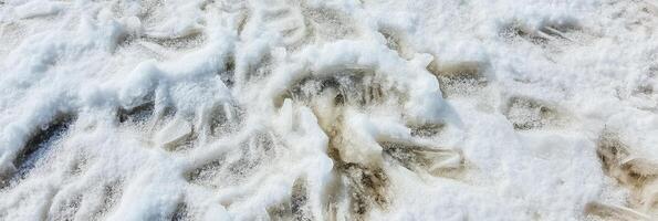 Close-up of frozen water formations on winter beach capturing natural texture photo