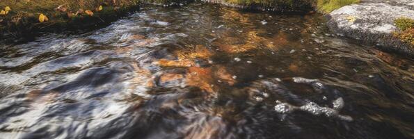 Autumn leaves reflecting in rippling stream surrounded by mossy rocks photo