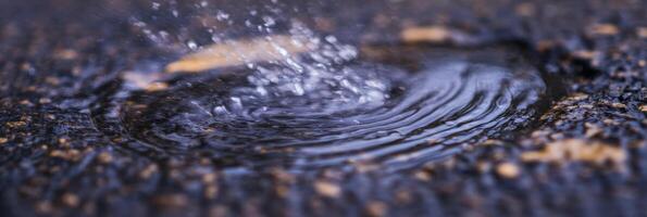 Close-up of raindrops falling on water creating ripples in a puddle photo