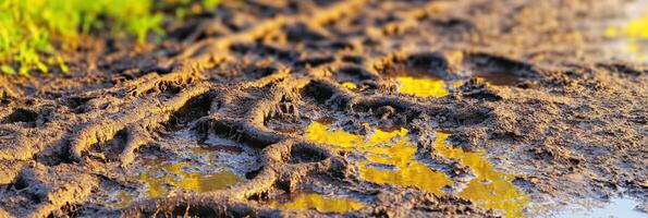 Muddy footprints trail with yellow light reflection on wet path photo