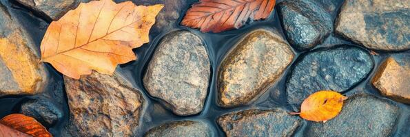Colorful autumn leaves on wet stones creating a natural pattern of season change photo
