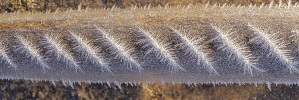 Close-up of metal pipe covered in intricate frost patterns on a cold winter morning photo