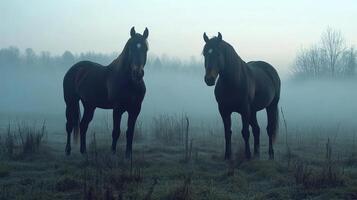 Majestic horses standing in misty field at sunrise capturing calm ambience photo