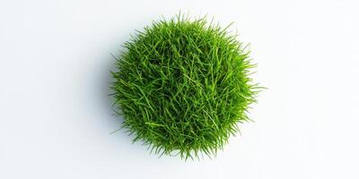 Top view of lush green grass ball on white background for nature concept photo