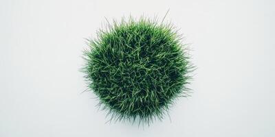 Circular patch of lush green grass isolated on white background surface photo