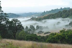 Morning mist over rolling hills and forested landscape at sunrise photo