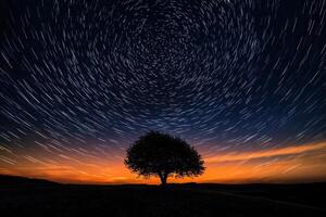 Star trails over lone tree against vibrant sunset in night sky photography photo