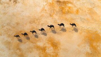 Aerial view of camel caravan crossing desert sandscape captured from above photo