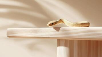 Golden snake resting peacefully on wooden table under warm sunlight photo