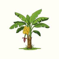 A cheerful cartoon banana tree bursts with life Lush green leaves surround a bunch of ripe yellow bananas, creating a joyful, tropical scene. vector