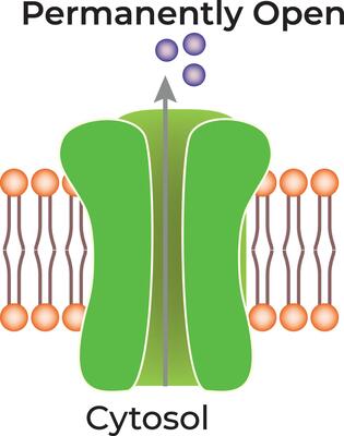 Cytosol-Gated Science Design Illustration Diagram