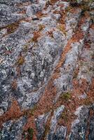 Natural stone texture with nice cracks, vegetation and dirt, texture background photo