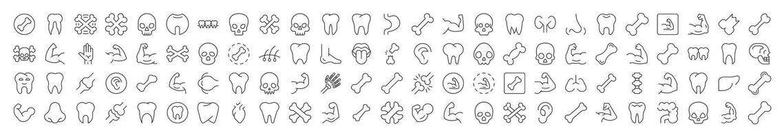 Internal Organs, Teeth and Bones Icon Set for UI, Placards, Books, Apps. Editable Stroke. Suitable for Web Sites, Books, Cards, Apps vector