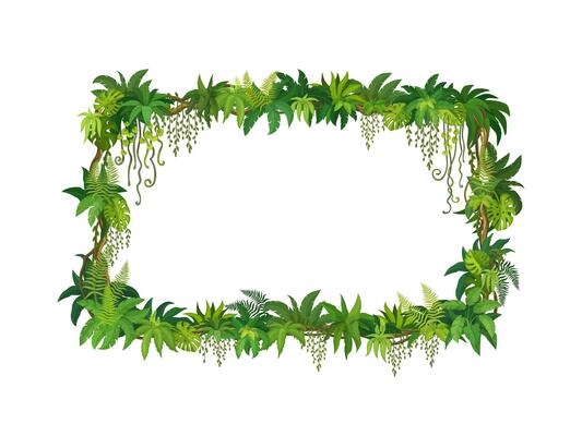 Frame of liana, jungle ivy and tropical leaves
