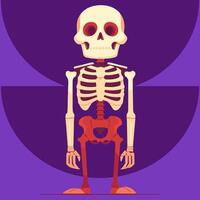A cartoon skeleton standing on a purple background vector