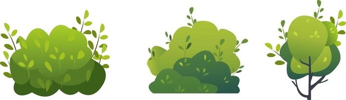 Three different types of green plants on a white background vector